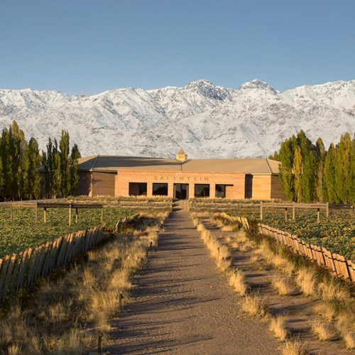 Tour Premium Valle de Uco