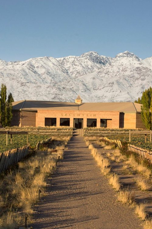 Tour Premium Valle de Uco