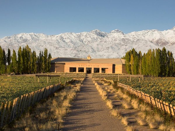 Tour Premium Valle de Uco