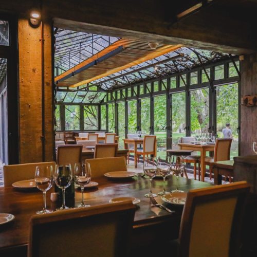 Tour Premium Maipú: Vinho, Azeite e Paixão Mendocina