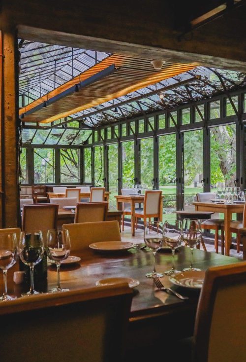 Tour Premium Maipú: Vinho, Azeite e Paixão Mendocina