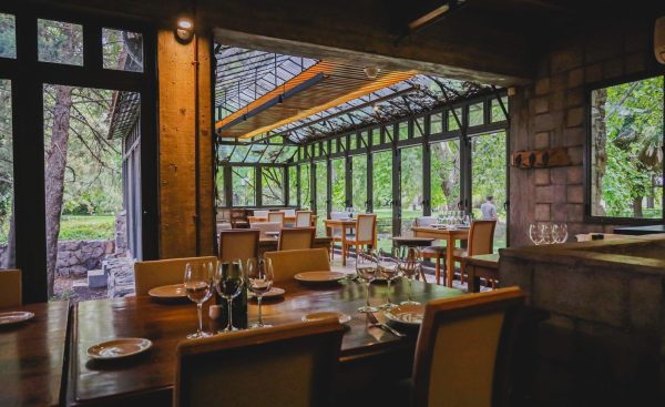 Tour Premium Maipú: Vinho, Azeite e Paixão Mendocina