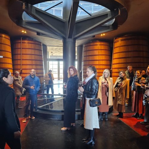 Tour clássico de vinícolas no Valle de Uco