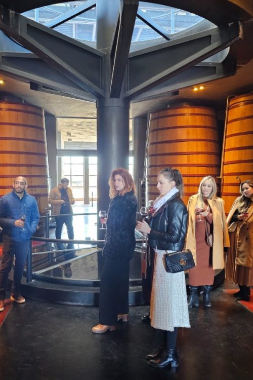 Tour clássico de vinícolas no Valle de Uco