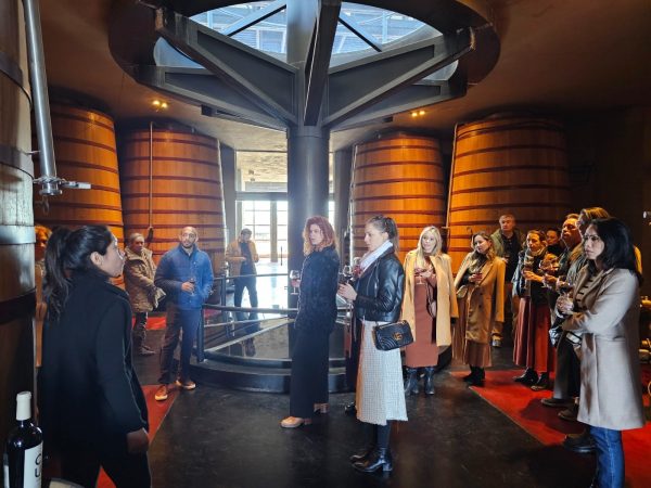 Tour clássico de vinícolas no Valle de Uco