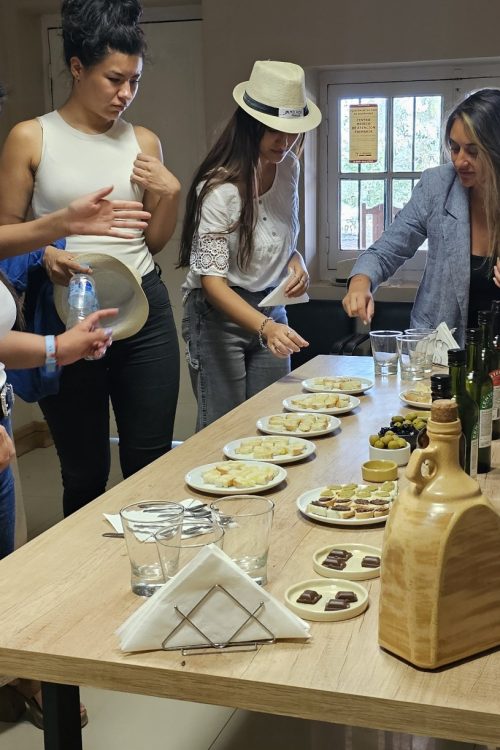 Tour Clássico em Maipú -Vinho, Azeite e Sabores Tradicionais