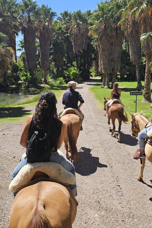 Cavalgada em Mendoza: Experiência Tradicional Exclusiva