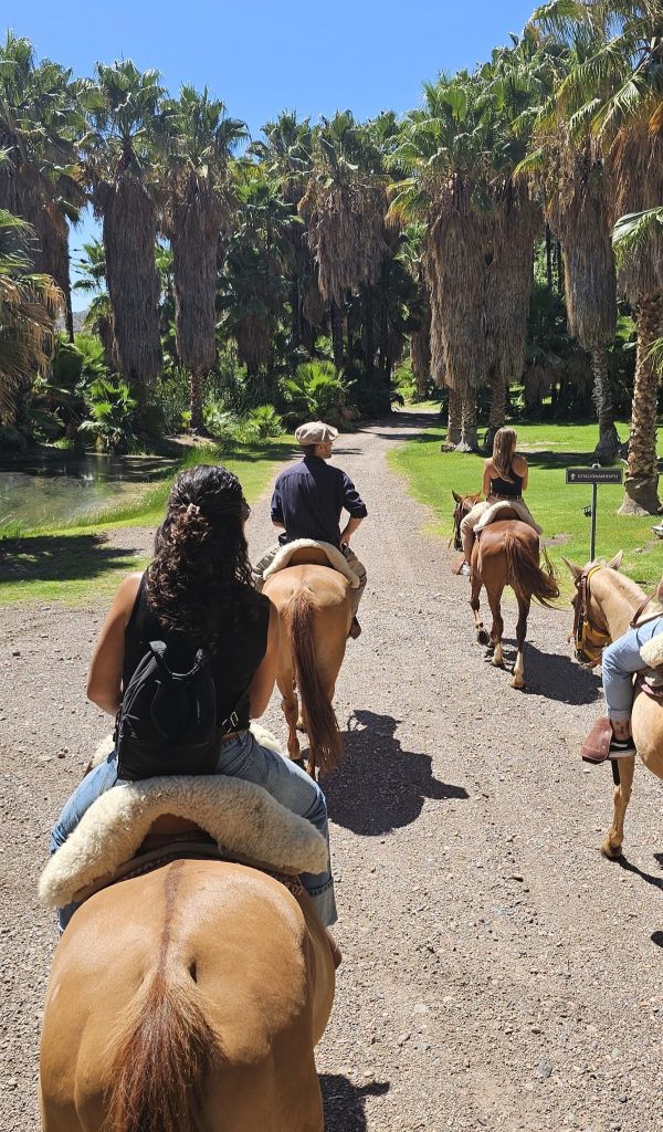 Cavalgada em Mendoza: Experiência Tradicional Exclusiva