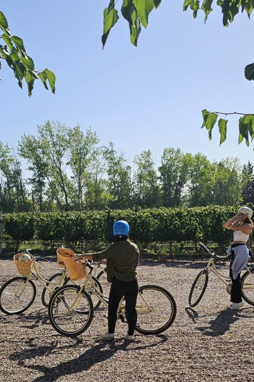 Bike Tour por Vinícolas com Picnic Chic