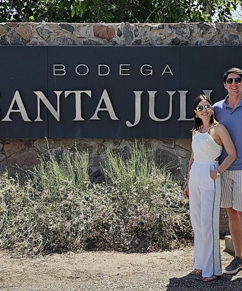 Tour Premium Maipú-Mendoza Vino, Oliva y Pasión Mendocina